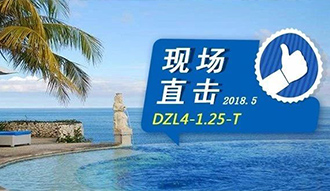现场直击丨看生物质锅炉在巴厘岛如何强操作，，，，回头客非它不选